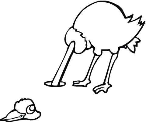 Ostrich Head In Ground  Coloring Page